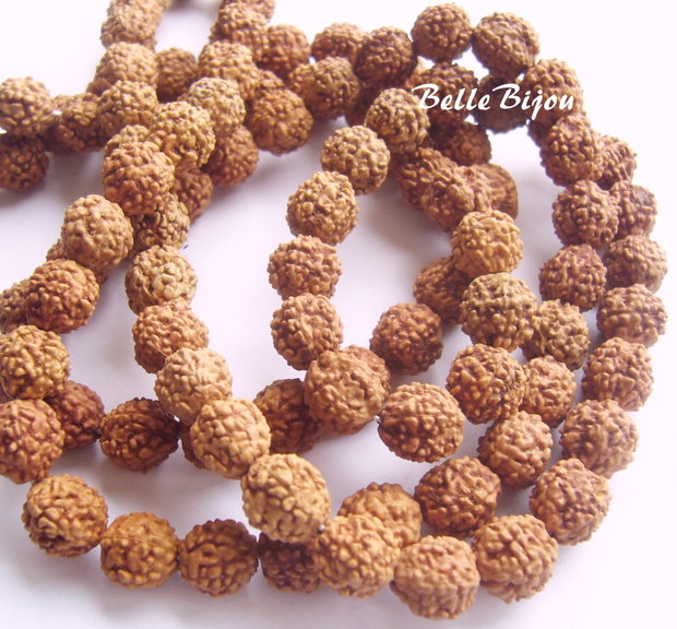 Rudraksha aprox 9-10 mm