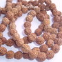Rudraksha aprox 9-10 mm