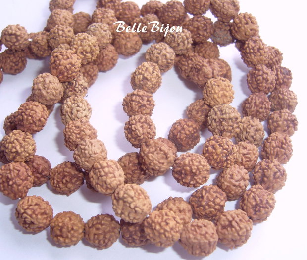 Rudraksha aprox 9-10 mm