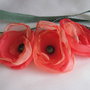 Bentita