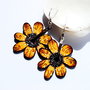 Sun Flower