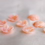 Sidef 10x3mm (1)