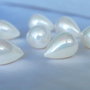 Perle seashell 13x18mm, semigaurite (1)