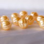 Perle seashell 10mm, semigaurite (1)