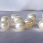 Perle seashell 10x13mm, semigaurite (1)