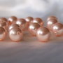 Perle seashell, 10mm, semigaurite (1)
