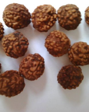 LR1 - rudraksha 9 - 10 mm