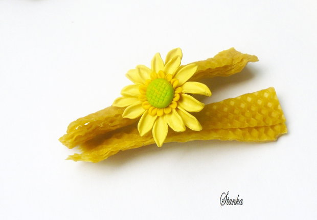 Floarea Soarelui