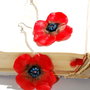 Poppies