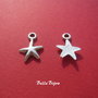 Steluta de mare argintata aprox 3x16x24 mm (cu anoul)