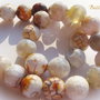 Agate fatetate alburii 13-14 mm