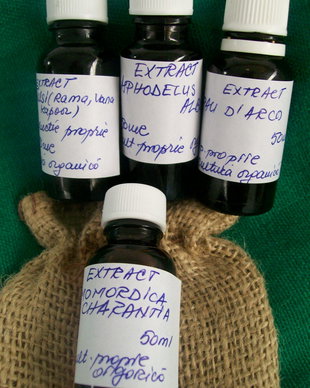 EXTRACT BIO DE PAU D`ARCO - antitumoral de exceptie - NOU