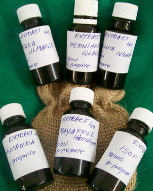 EXTRACT BIO DE TINTAURA ( purificator puternic) - NOU