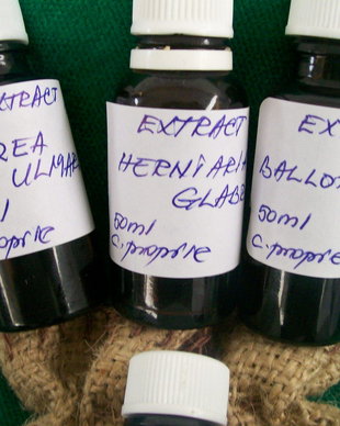 EXTRACT BIO DE CRETUSCA (DRENOR, ANTIREUMATIC, ANTIINFLAMATOR) -NOU ( productie proprie)