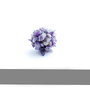 Inel  statement - Amethyst clutter