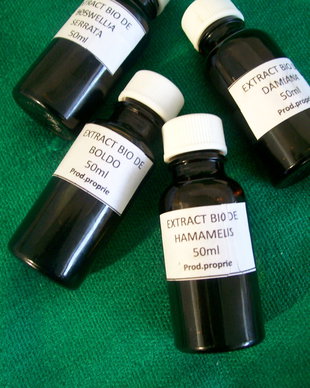 EXTRACTUL BIO DE HAMAMELIS - NOU