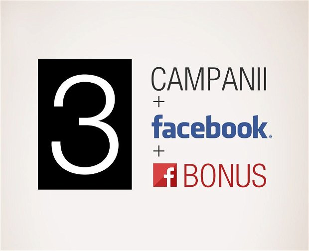 Triple Mix - 14 Campanii + 3 Postari Facebook