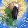 STEVIE DULCE extract( indulcitor natural bio ) NOU