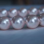 Perle seashell 14mm (1)