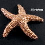 4452 - Accesoriu, distantier, stea de mare, auriu
