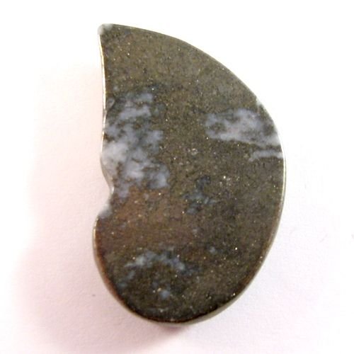 4551 - Cabochon, pirita in forma de amonit
