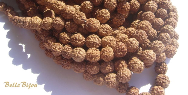(2 buc) Rudraksha NATURALA aprox 7.5-8 mm