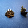 CAPACE AURII - 19 X 11 MM