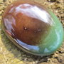 Cabochon agata aprox 29x39 mm