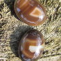 Cabochon agate aprox 20x15 mm (2 buc)