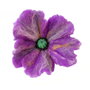 I ♥ purple - brosa