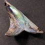 4693 - Pandantiv, scoica paua abalone, coada de peste, 49x47x14mm