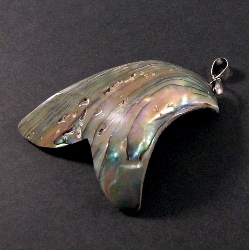 4693 - Pandantiv, scoica paua abalone, coada de peste, 49x47x14mm