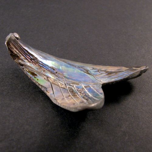 4693 - Pandantiv, scoica paua abalone, coada de peste, 49x47x14mm