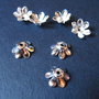 CAPACELE ARGINTII - 14 X 7 MM