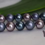 Perle seashell 12mm (1)