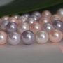 Perle seashell 10mm (1)