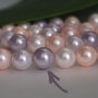 Perle seashell 10mm (1)