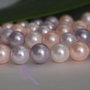 Perle seashell 10mm (1)