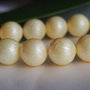 Perle seashell 16mm (1)