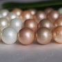 Perle seashell 12mm (1)