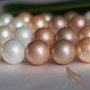 Perle seashell 12mm (1)
