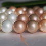 Perle seashell 12mm (1)