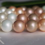 Perle seashell 12mm (1)