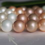 Perle seashell 12mm (1)