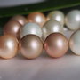 Perle seashell 14mm (1)