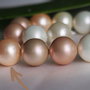 Perle seashell 14mm (1)