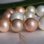 Perle seashell 14mm (1)