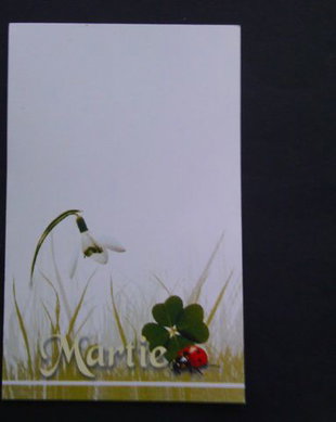 cartonase (10 buc) martisor model 5