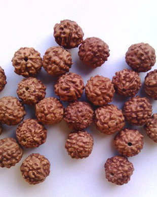 LR2 - margele rudraksha 7-8 mm