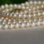 Perle seashell 4.5mm